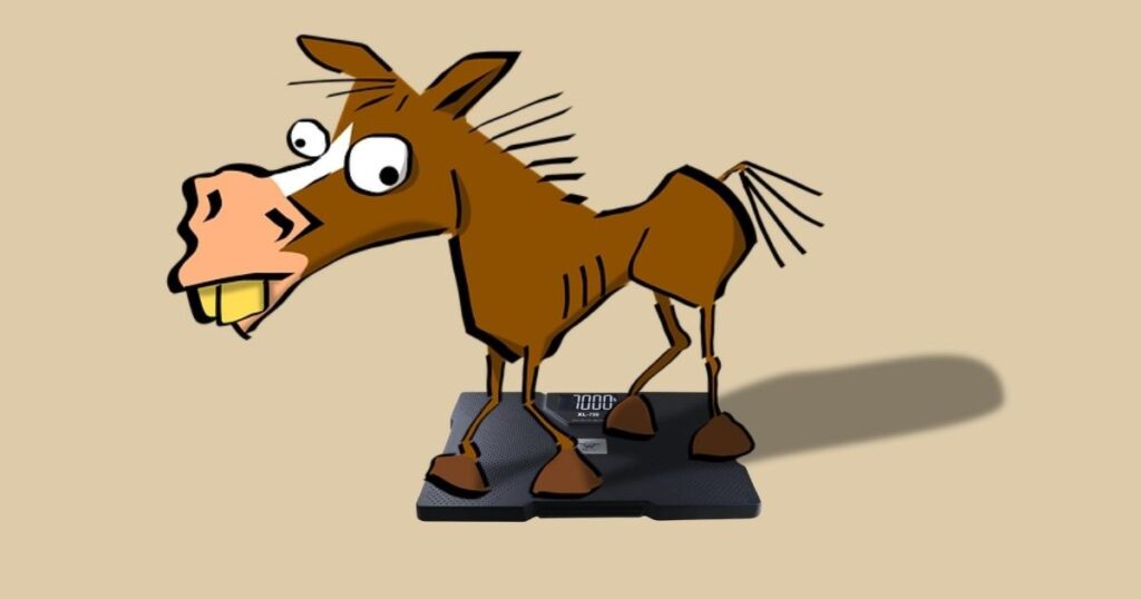 Comical horse standing on a tiny bathroom scale