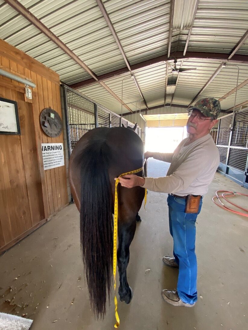 How to weigh your horse without a scale Groundmaster