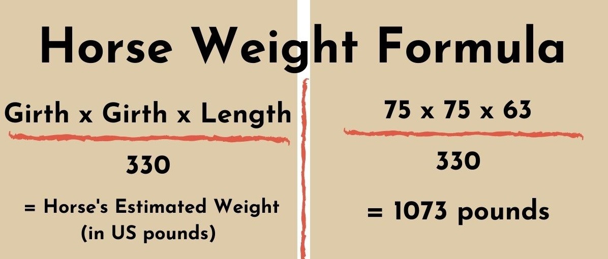 How to weigh your horse without a scale Groundmaster